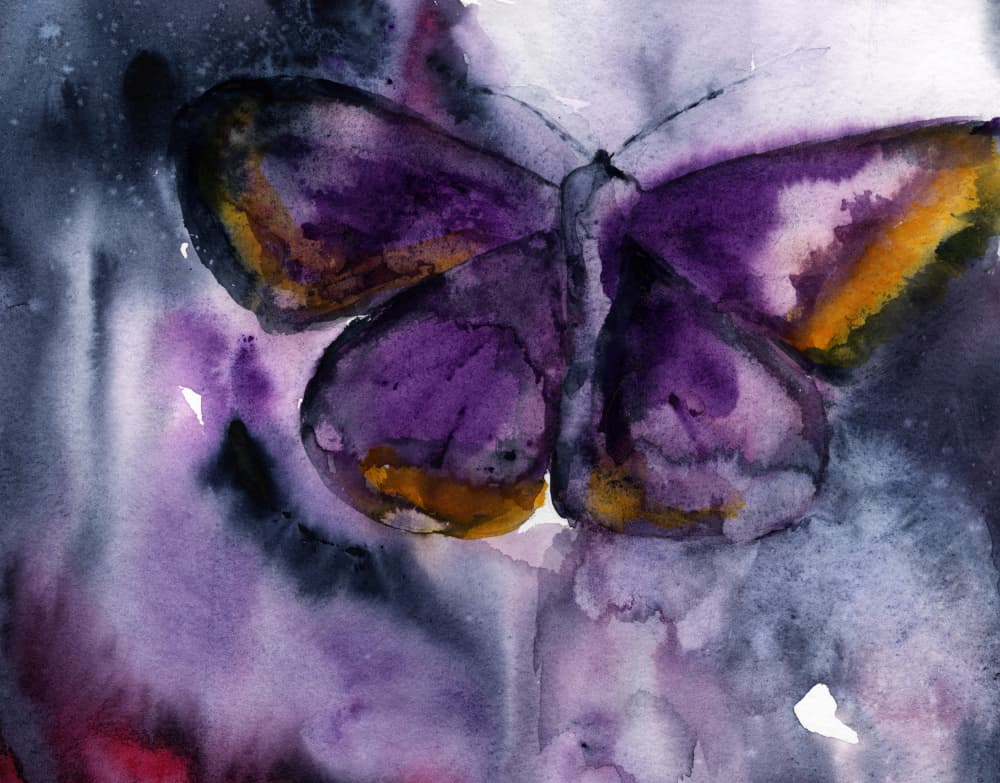 Purple Butterfly Dream by RodMacIver — canvas wall art