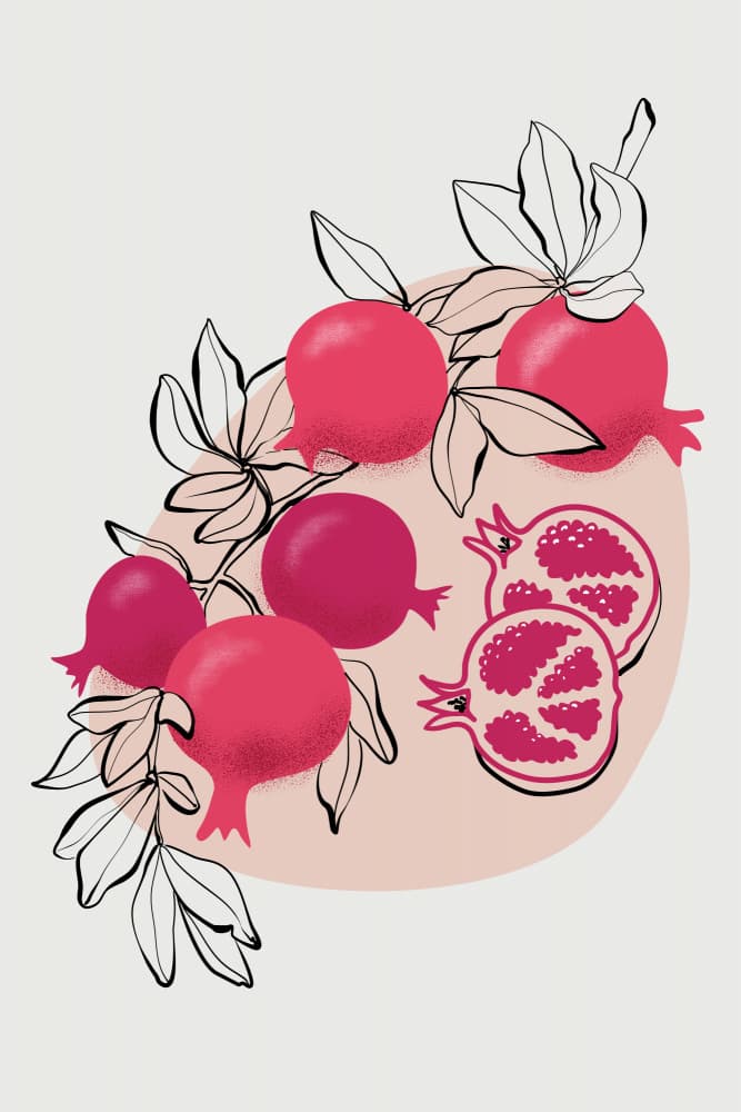 Pomegranate Branch Illustration by Rosana Laiz Blursbyai — canvas wall art