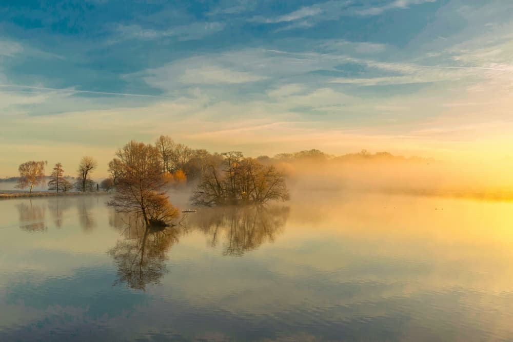 Golden Misty Lake by Radojica Jevric fotorax — canvas wall art