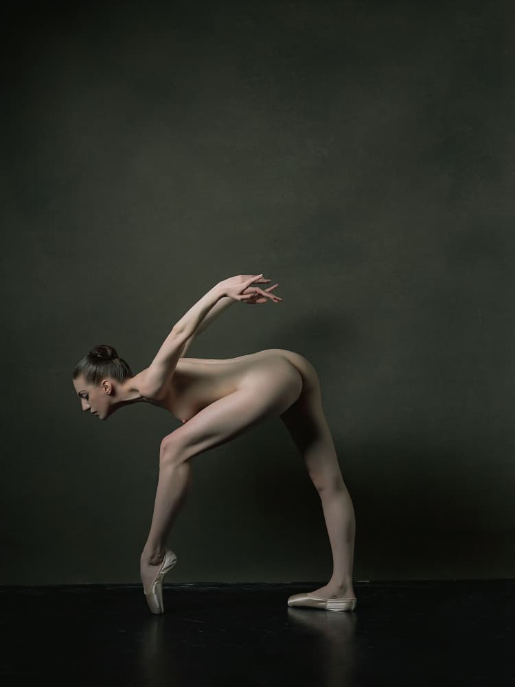 Elegant Nude Ballet by Zanna — canvas wall art