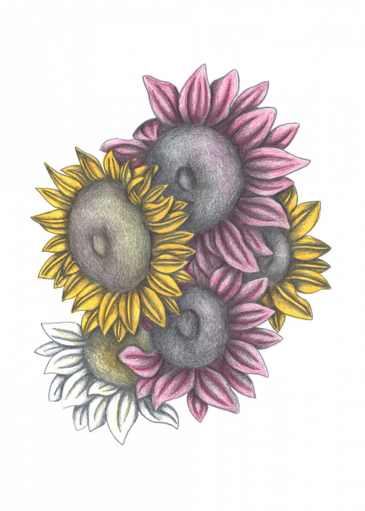 Mixed Sunflowers by Cecilia Battaini — canvas wall art