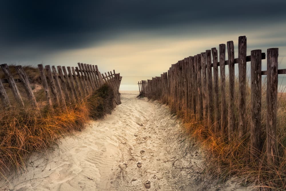 Coastal Path to Sea by Rico Cavallo — canvas wall art