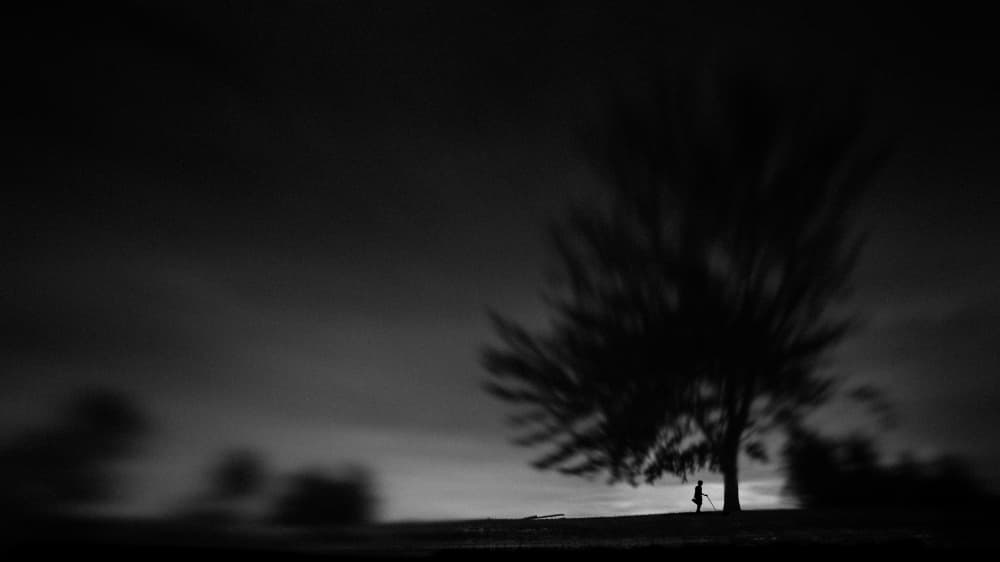 Solitary Tree Night by Suhandi Jitir — canvas wall art