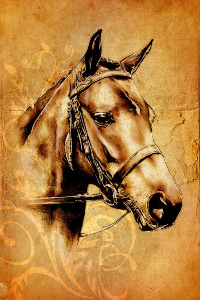 Vintage Horse Head Sketch by Rafal Kulik — canvas wall art