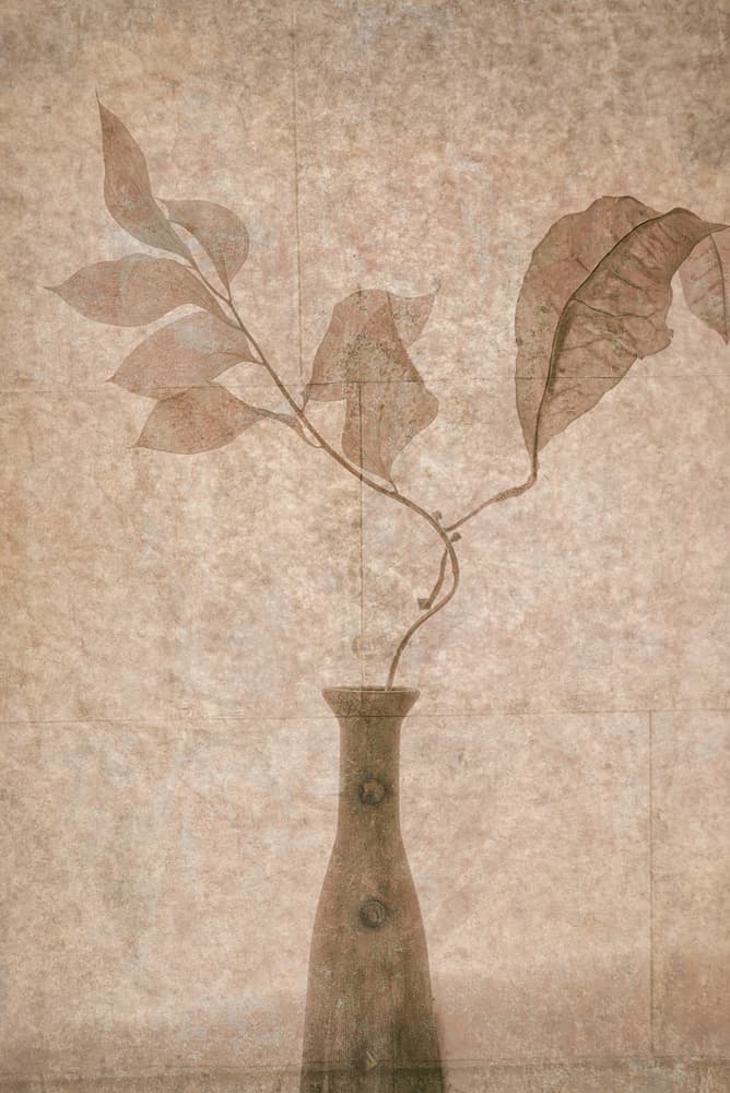 Delicate Sepia Botanicals by Igor Tokarev — canvas wall art