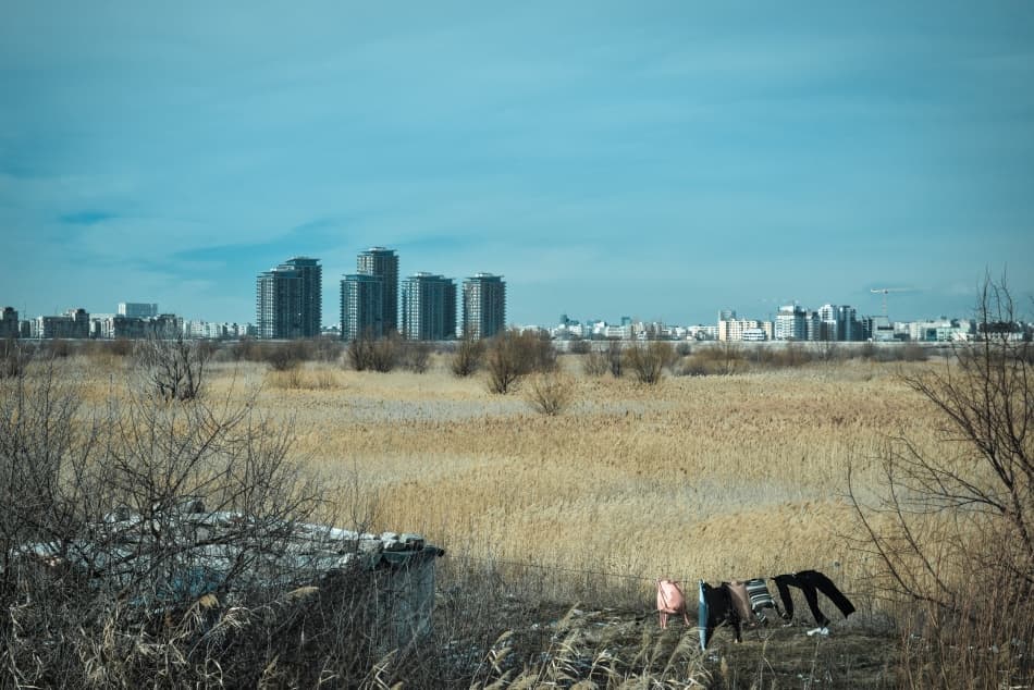 Golden Reeds City Horizon by Vlad Cioplea — canvas wall art