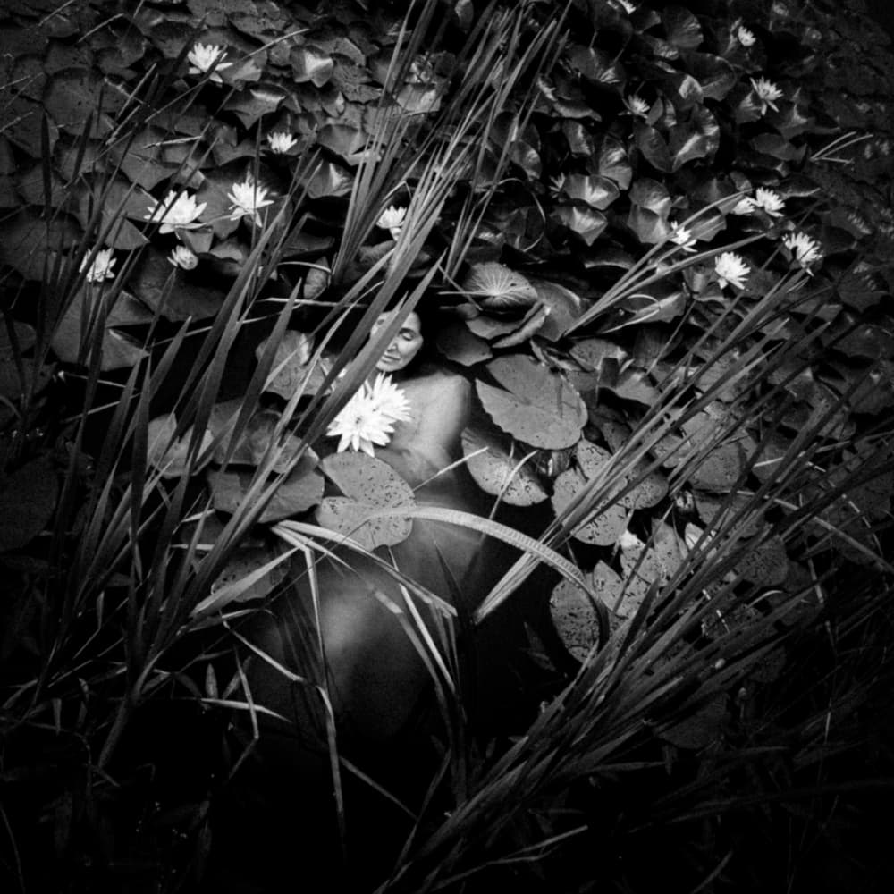 water lilly by Dzintra Zvagina — canvas wall art