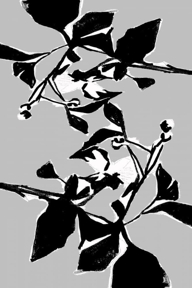 Graphic Botanical Pattern by cartissi — canvas wall art