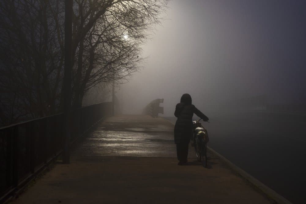 Foggy Night Dog Walk by Andrea Di Bello — canvas wall art