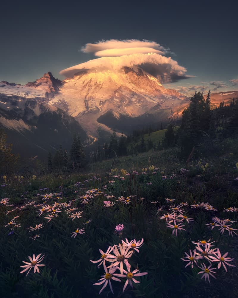 Golden Peak Wildflowers by Atanu Bandyopadhyay — canvas wall art