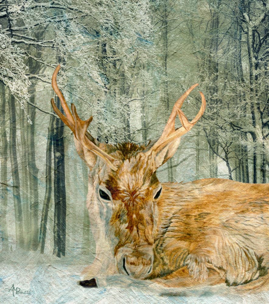 Winter Forest Deer by Angeles M. Pomata — canvas wall art