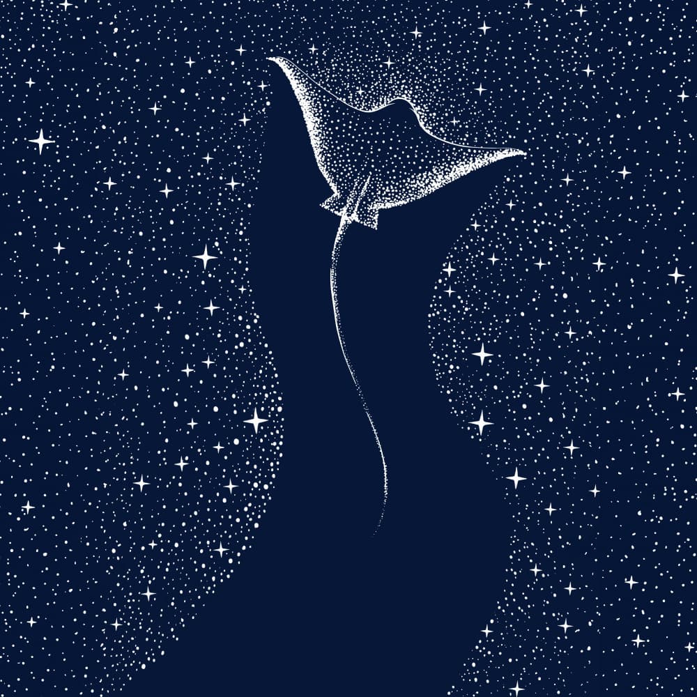 Cosmic Manta Ray by Alirıza ÇAKIR — canvas wall art