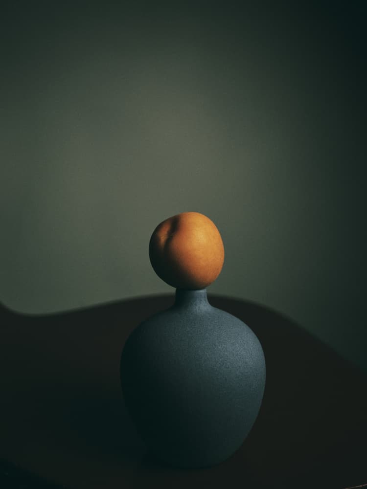 Dark Peach Vase by FiguraNYC Photography — canvas wall art