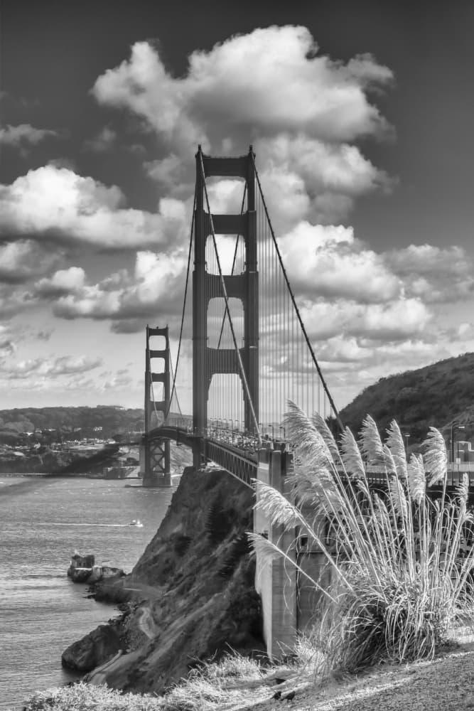 Golden Gate Bridge Black White by Melanie Viola — canvas wall art