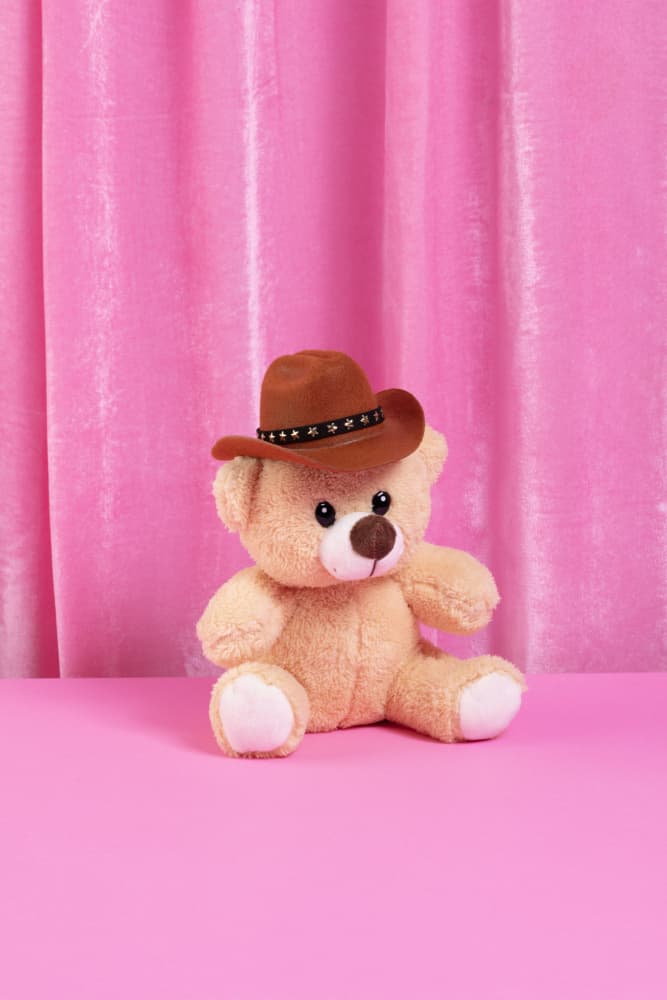 Cowboy teddy bear by Julia Ramiro — canvas wall art