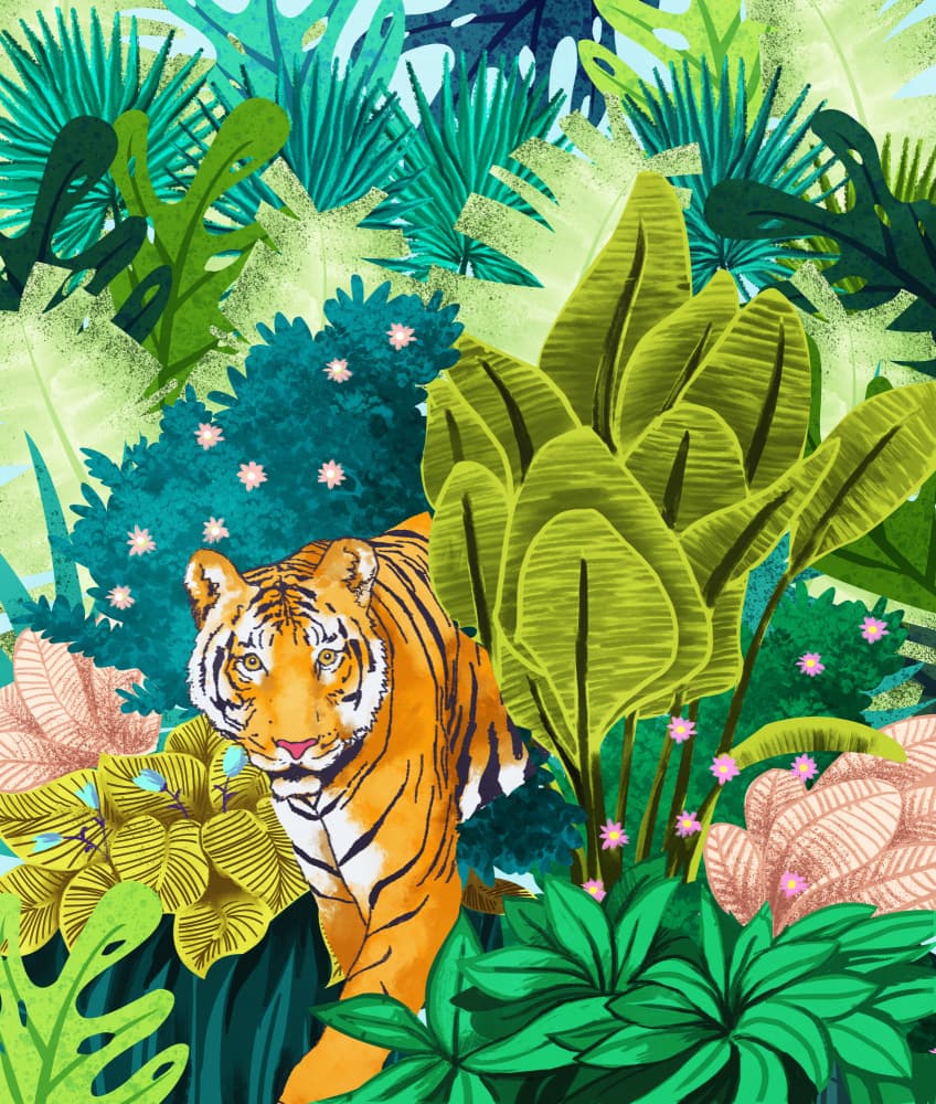 Wild Jungle Tiger by Uma Gokhale — canvas wall art