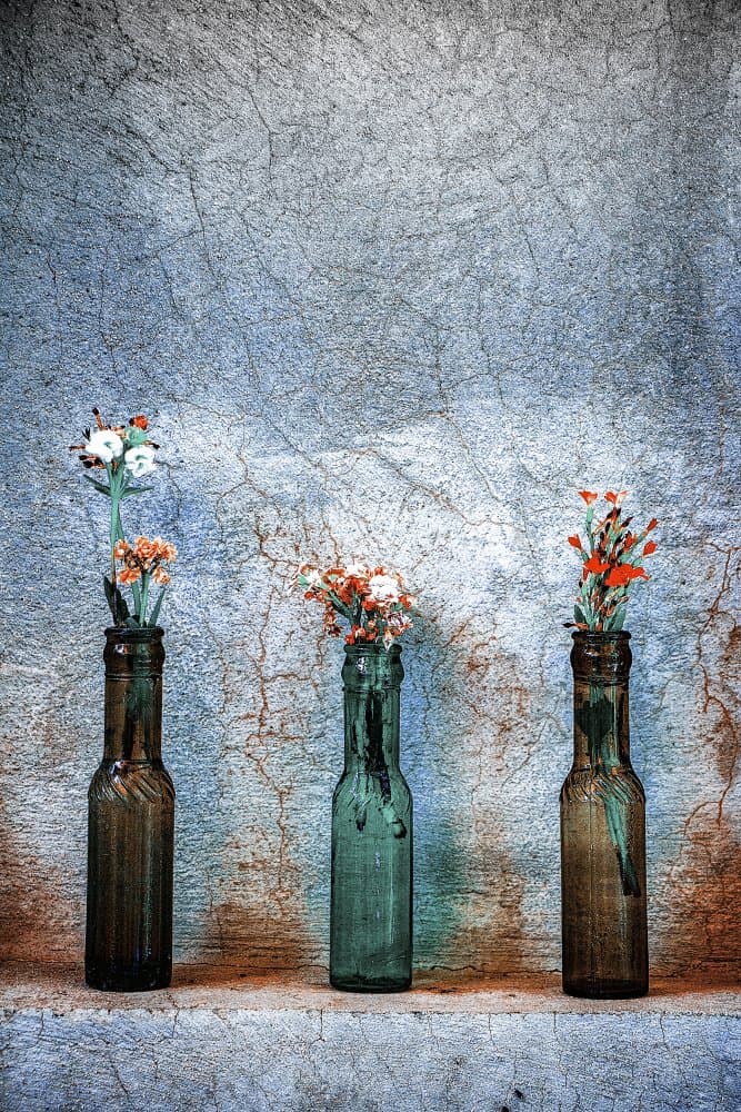 Rustic Bottle Blooms by Afshin Saeidinia — canvas wall art