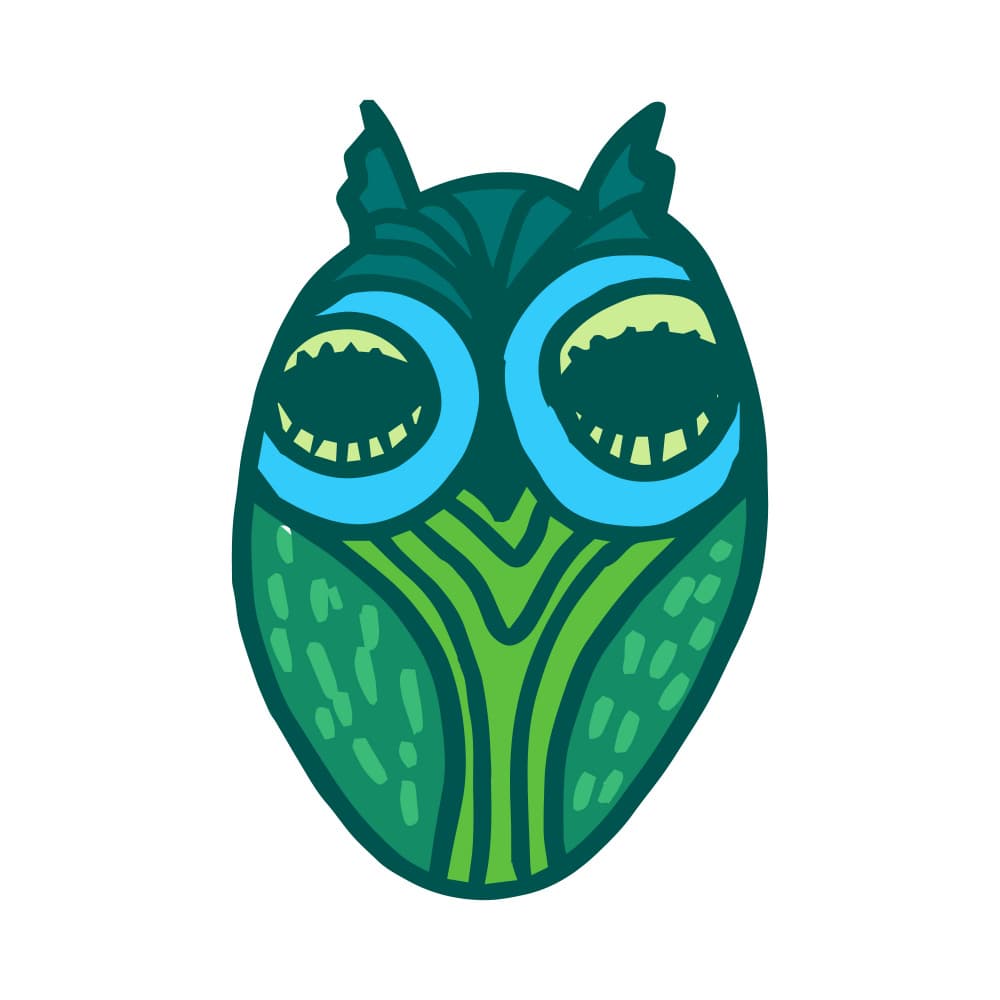 Green Wise Owl by Marika Barsrsind — canvas wall art