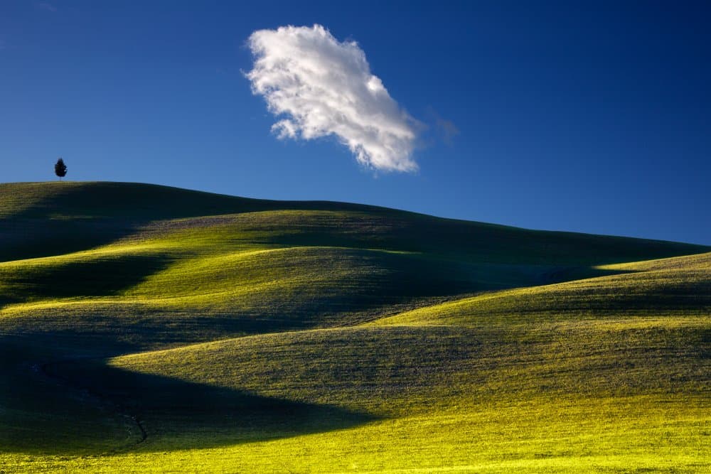 Serene Rolling Hills by Gloria Staffa — canvas wall art