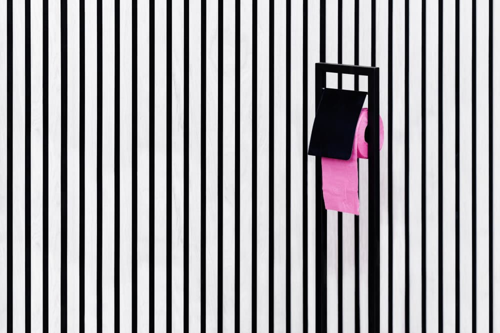 Modern Pink Toilet Paper by Karin Kilb — canvas wall art