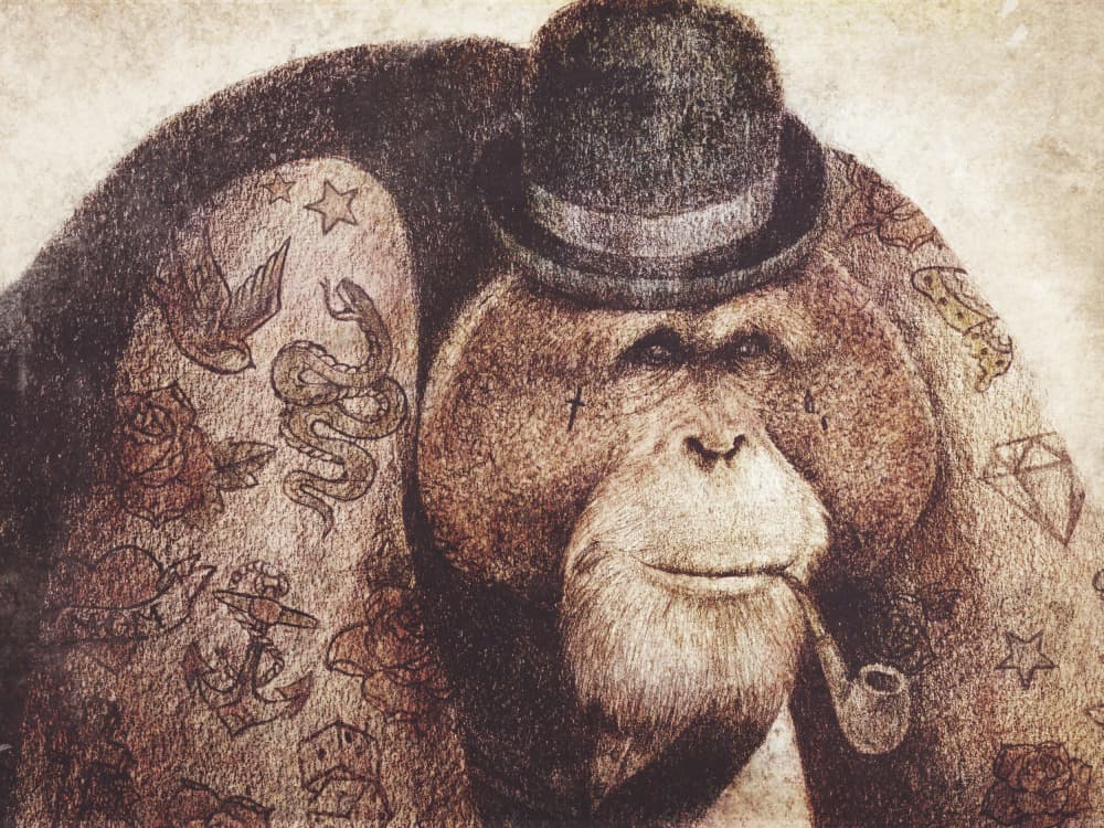 Don't Mess With Bill