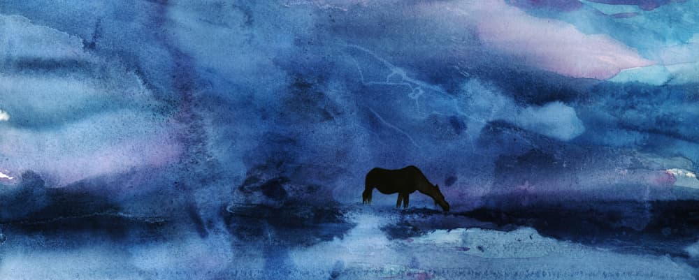 Blue Horse Twilight by RodMacIver — canvas wall art