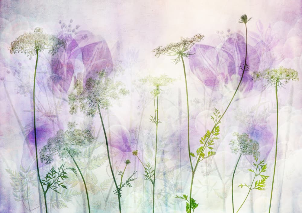 Ethereal Purple Blooms by Hilda van der Lee — canvas wall art