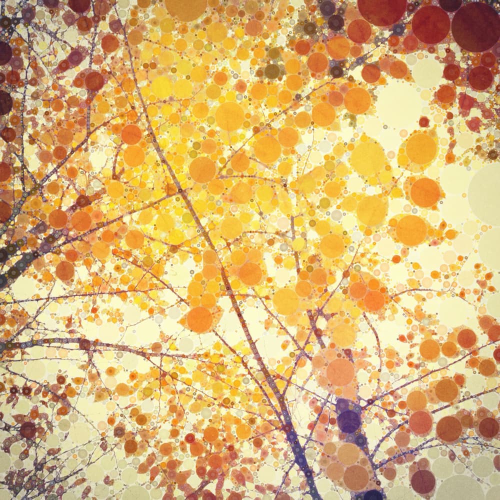 Golden Autumn Sunlight by Olivia Joy StClaire — canvas wall art