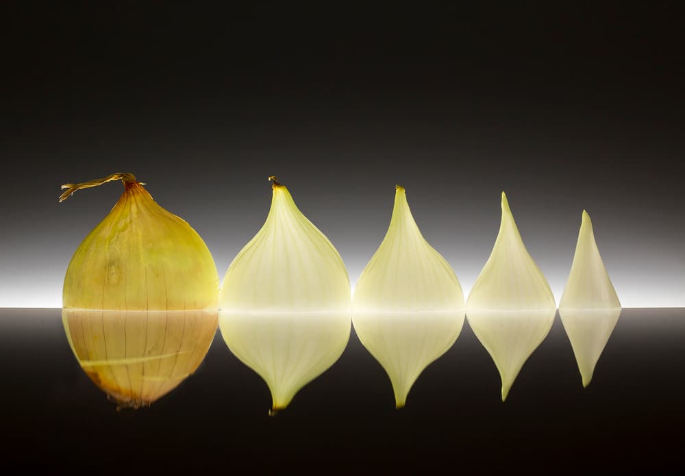 Abstract Onion Layers by Wieteke de Kogel — canvas wall art