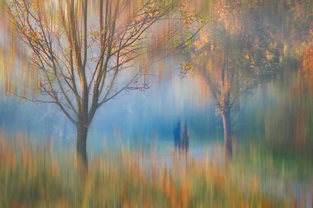 Autumn Dreamscape by Serena Duan — canvas wall art