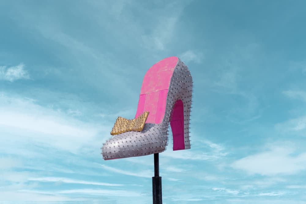 Silver Slipper by Tom Windeknecht — canvas wall art