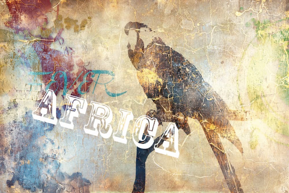 Vintage African Parrot by Rafal Kulik — canvas wall art