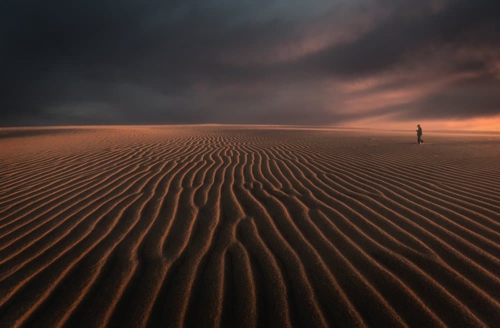 Solitary Desert Journey by Uschi Hermann — canvas wall art