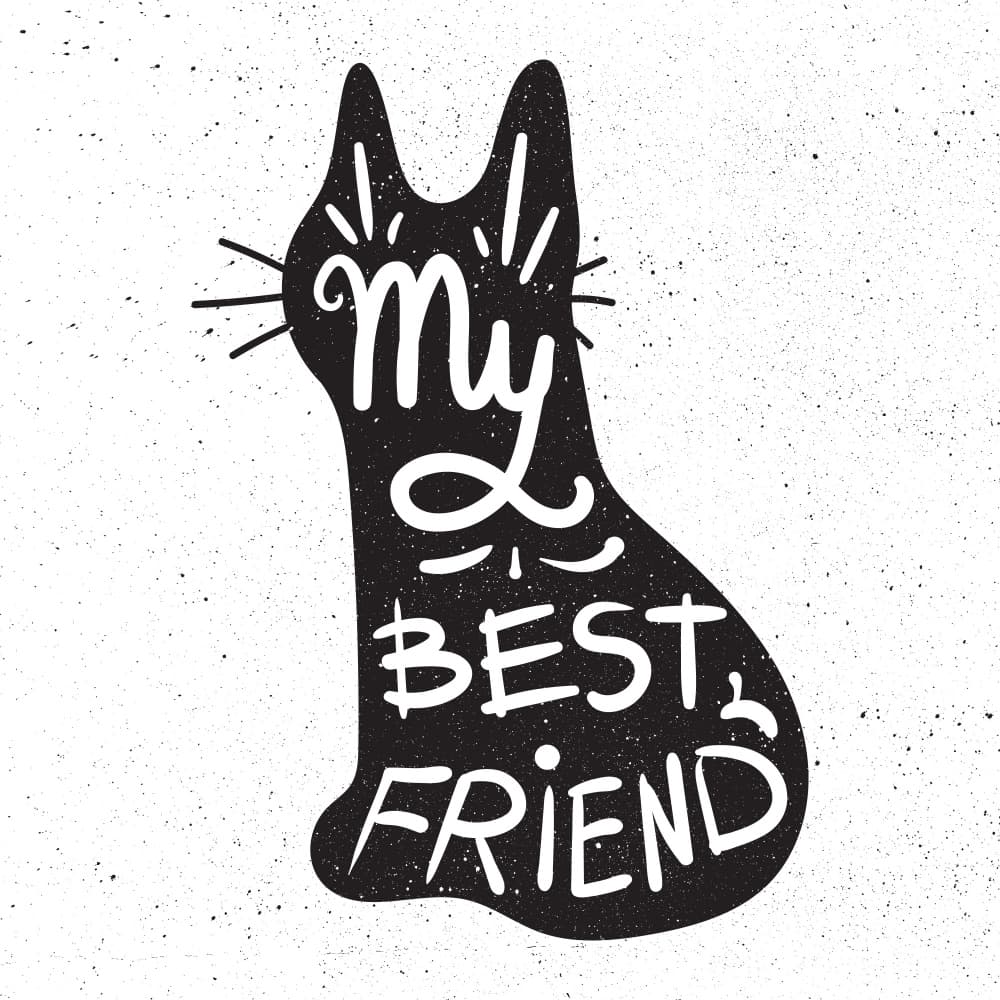 My Best Friend Cat by Marika Barsrsind — canvas wall art