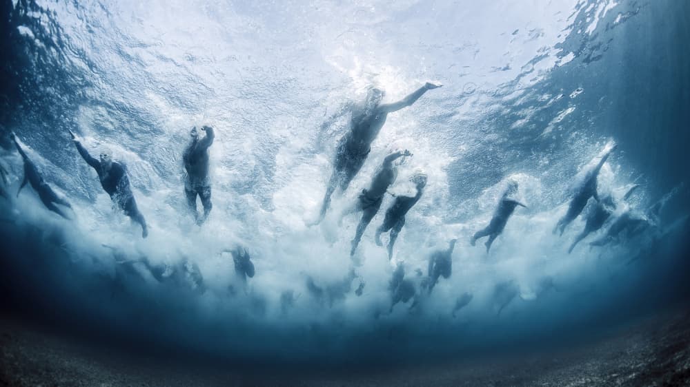 Ocean Swimmers by Davide Lopresti — canvas wall art