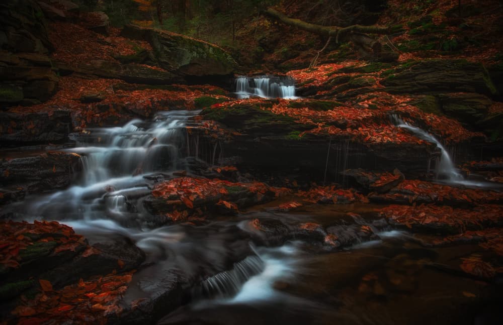 Autumn Forest Cascade by Ruiqing P. — canvas wall art