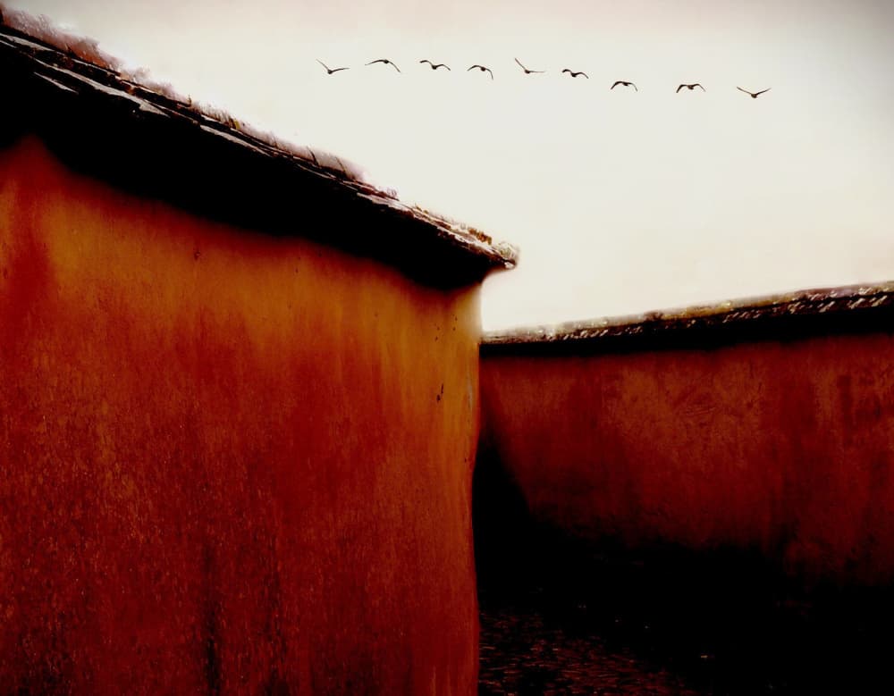 Ancient Walls Soaring Birds by Gareth Thomas — canvas wall art