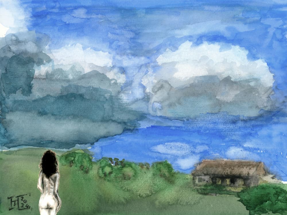 Woman Views Vast Landscape by Tim Hoinkis — canvas wall art
