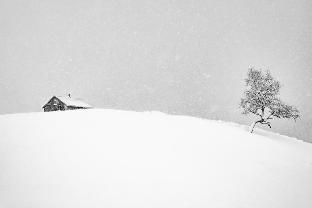 Winter Solitude by Pablo Perdomo — canvas wall art