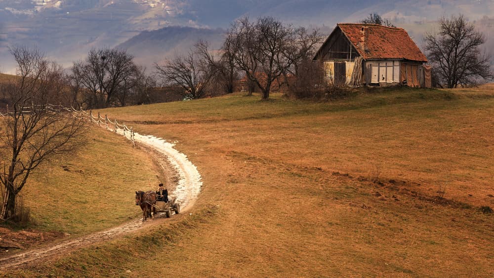 Rural Horse Cart Journey by Marius Cinteza — canvas wall art