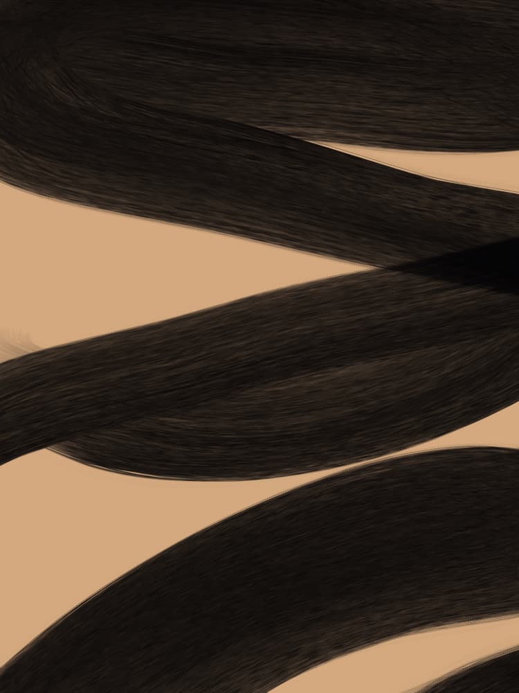 Dark Flowing Curves by Studio Palette — canvas wall art