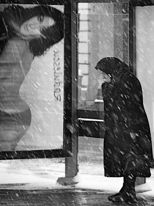 Snowy Urban Gaze by Nicoleta Gabor — canvas wall art