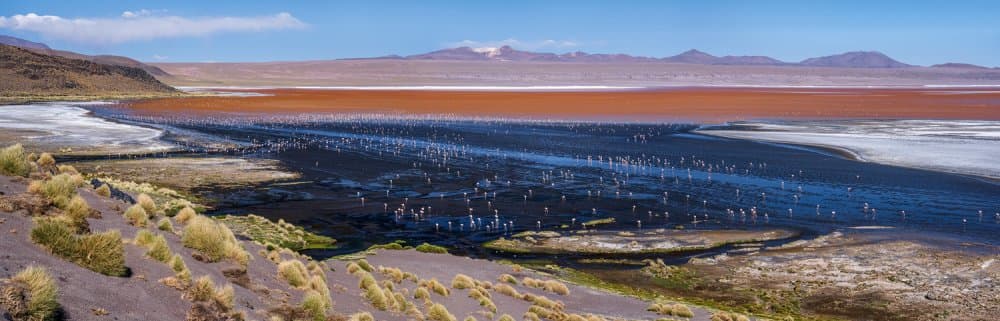 Flamingos on Red Lake by Karsten Wrobel — canvas wall art