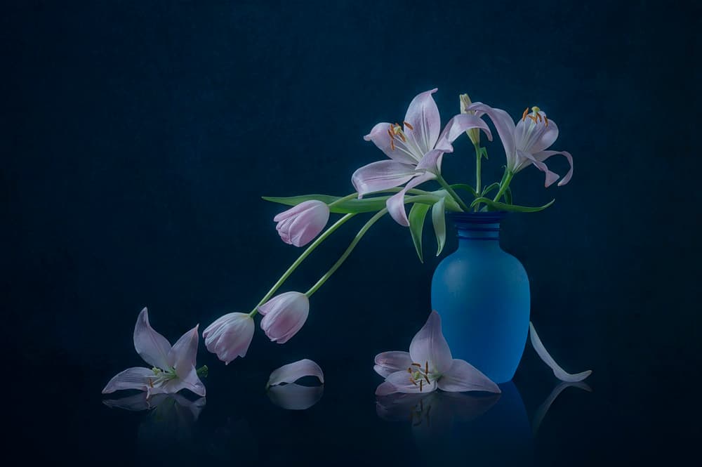 Moody Lilies and Tulips by Lydia Jacobs — canvas wall art