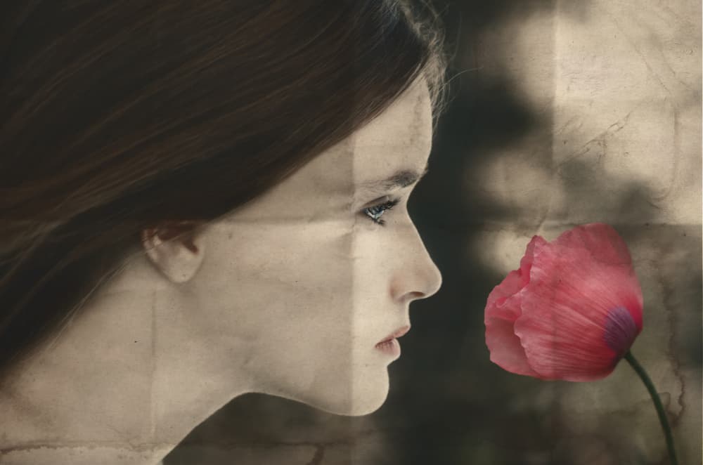 Dreamy Woman Red Poppy by Desislava Ignatova — canvas wall art