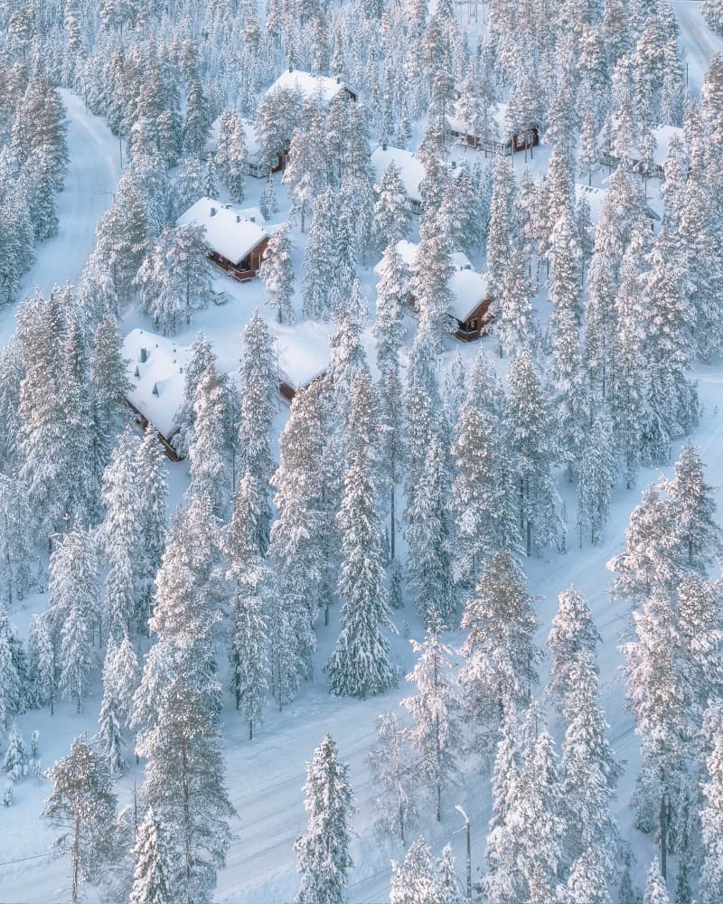 Snowy Forest Retreat by Kateryna Polishchuk — canvas wall art