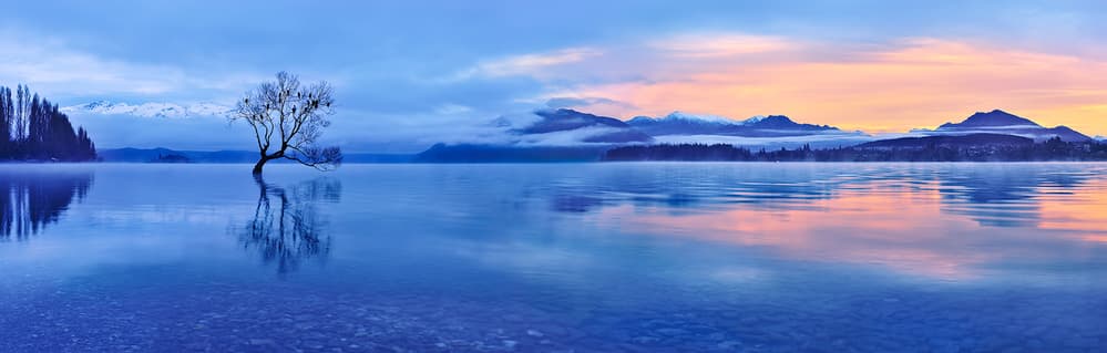Lonely Tree Reflections by Mei Xu — canvas wall art