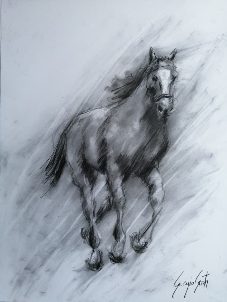 Dynamic Charcoal Horse by Giorgio Gosti — canvas wall art