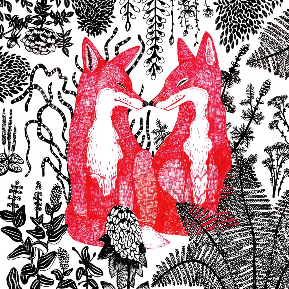 Loving Red Foxes