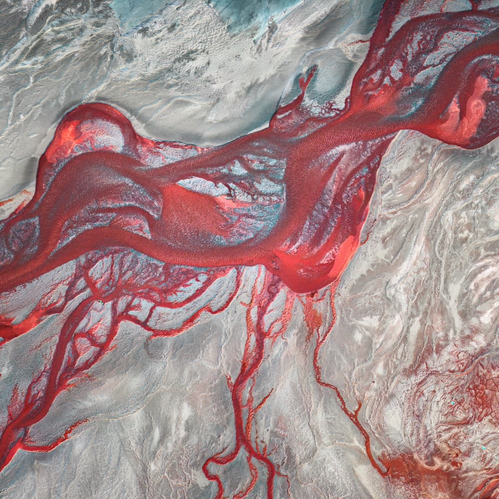 Vibrant Red River Delta by Aidong Ning — canvas wall art